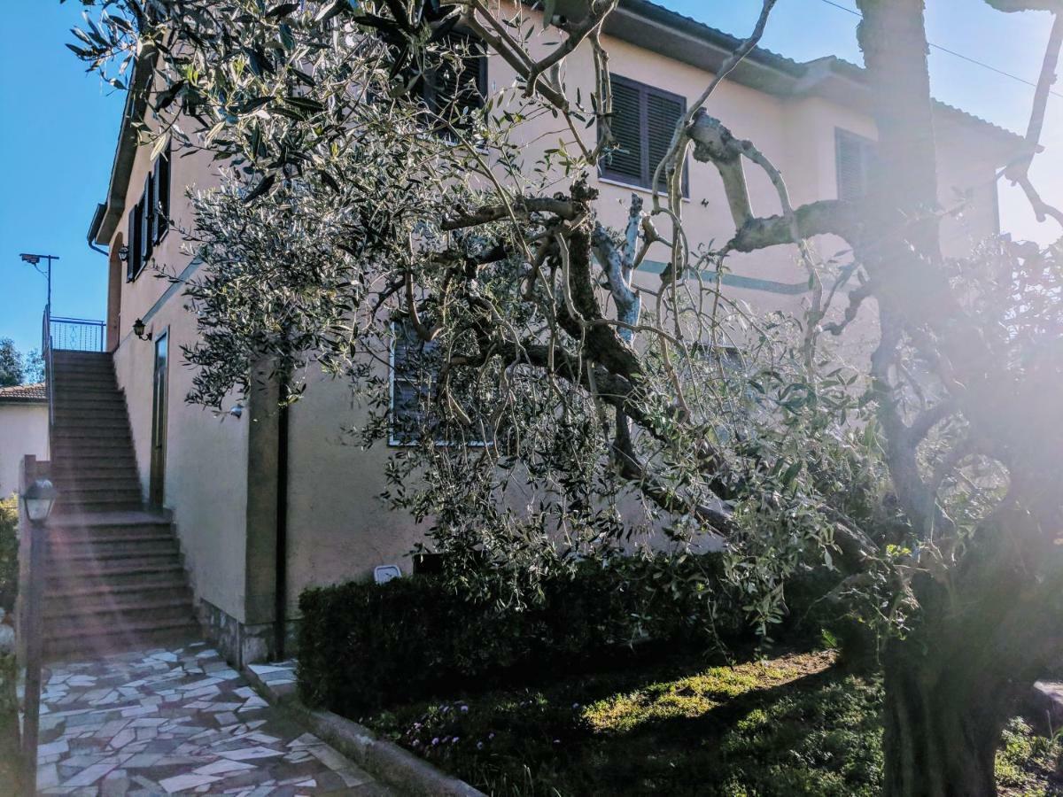Maremmano Bnb Capalbio Buitenkant foto